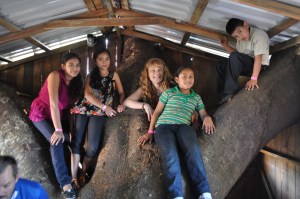 Fun Day in "House Tree"